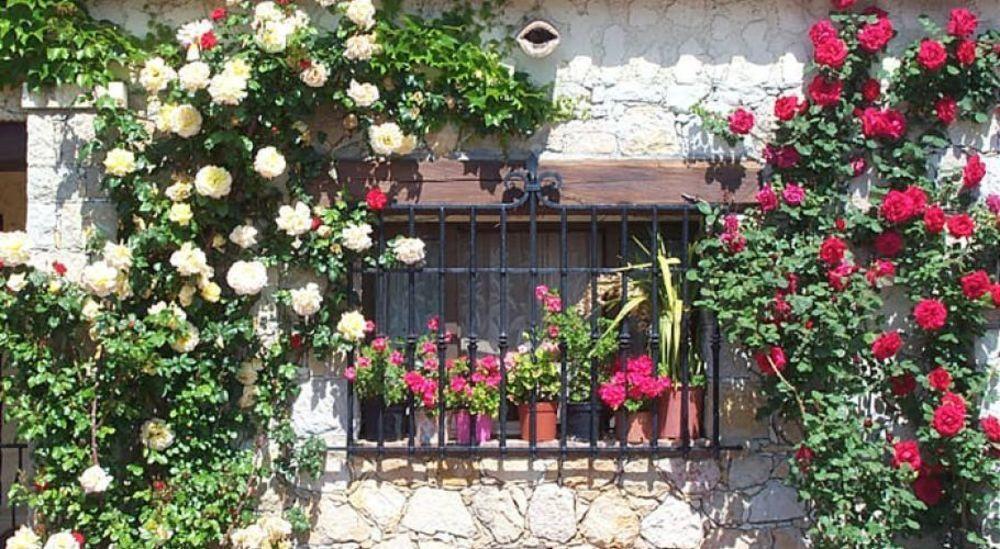Castel Garoupe Otel Antibes Dış mekan fotoğraf